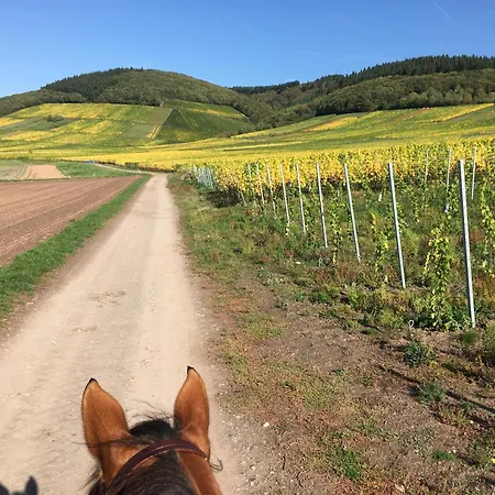 Bauernhof Emmler Muehle Gospodarstwo agroturystyczne Oberemmel