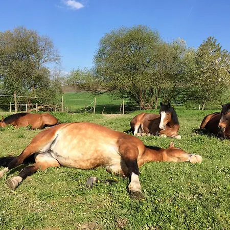 Gospodarstwo agroturystyczne Bauernhof Emmler Muehle Oberemmel
